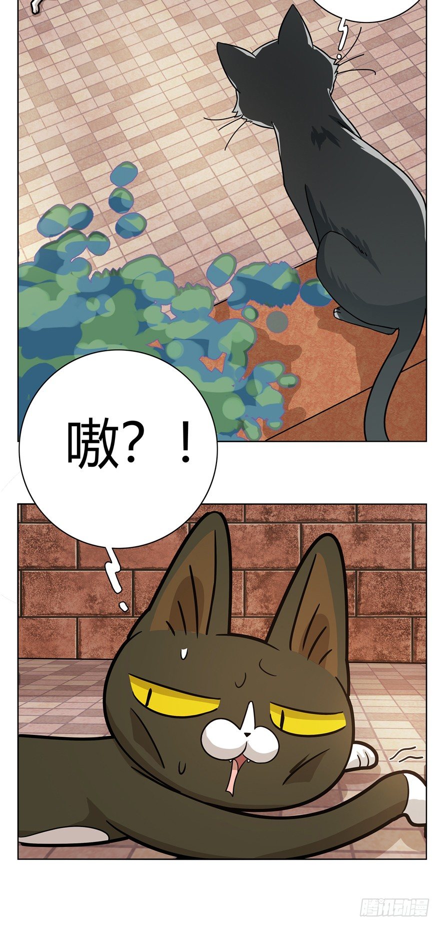 第12爪 番外 神秘的蛋嘴猫-第12话