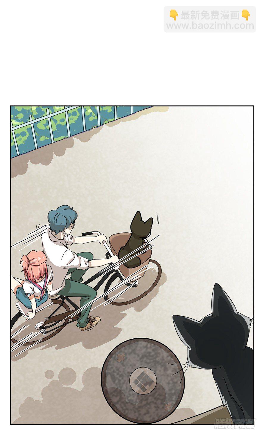 第12爪 番外 神秘的蛋嘴猫-第12话