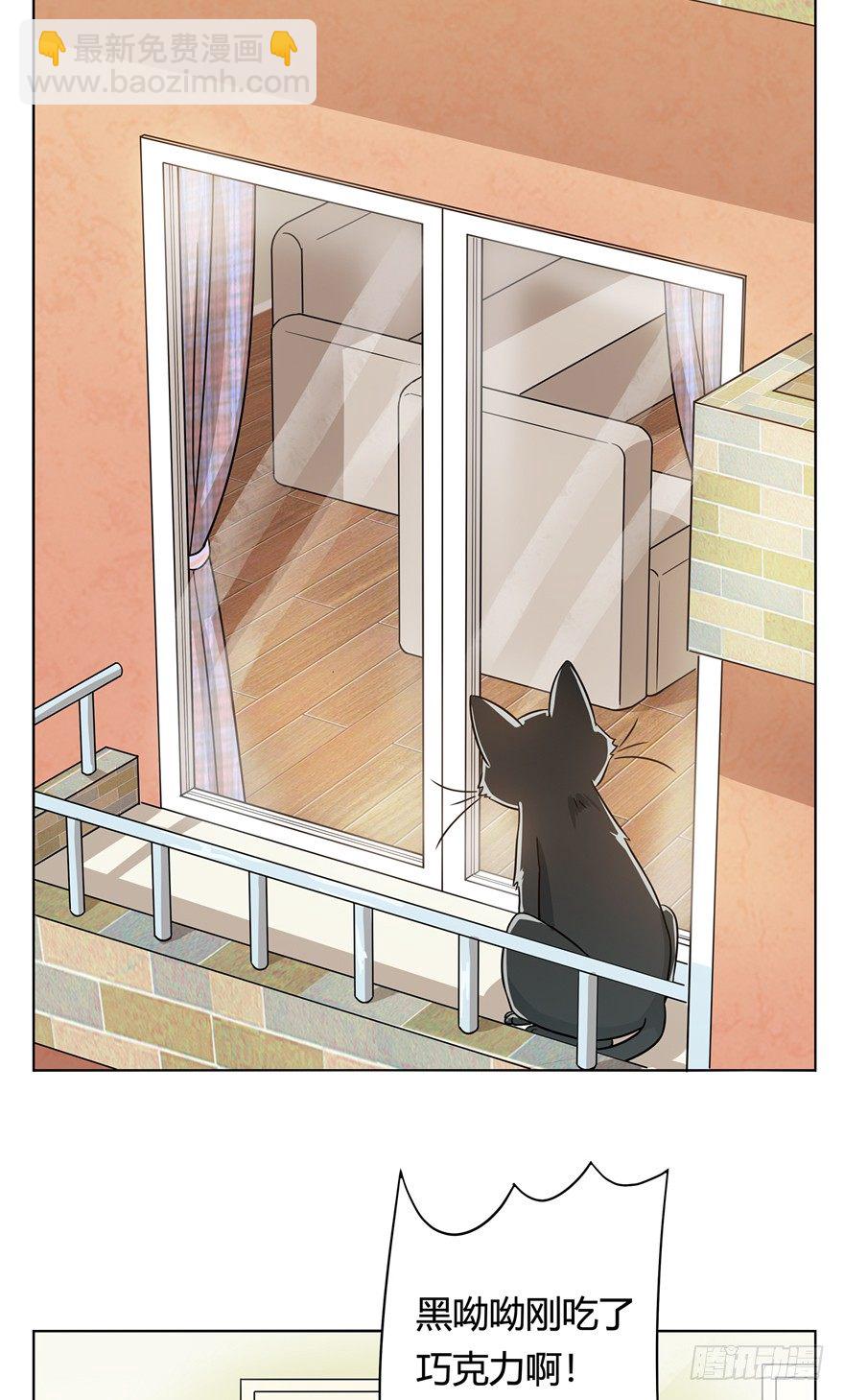 第12爪 番外 神秘的蛋嘴猫-第12话