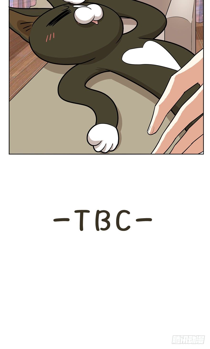 第12爪 番外 神秘的蛋嘴猫-第12话