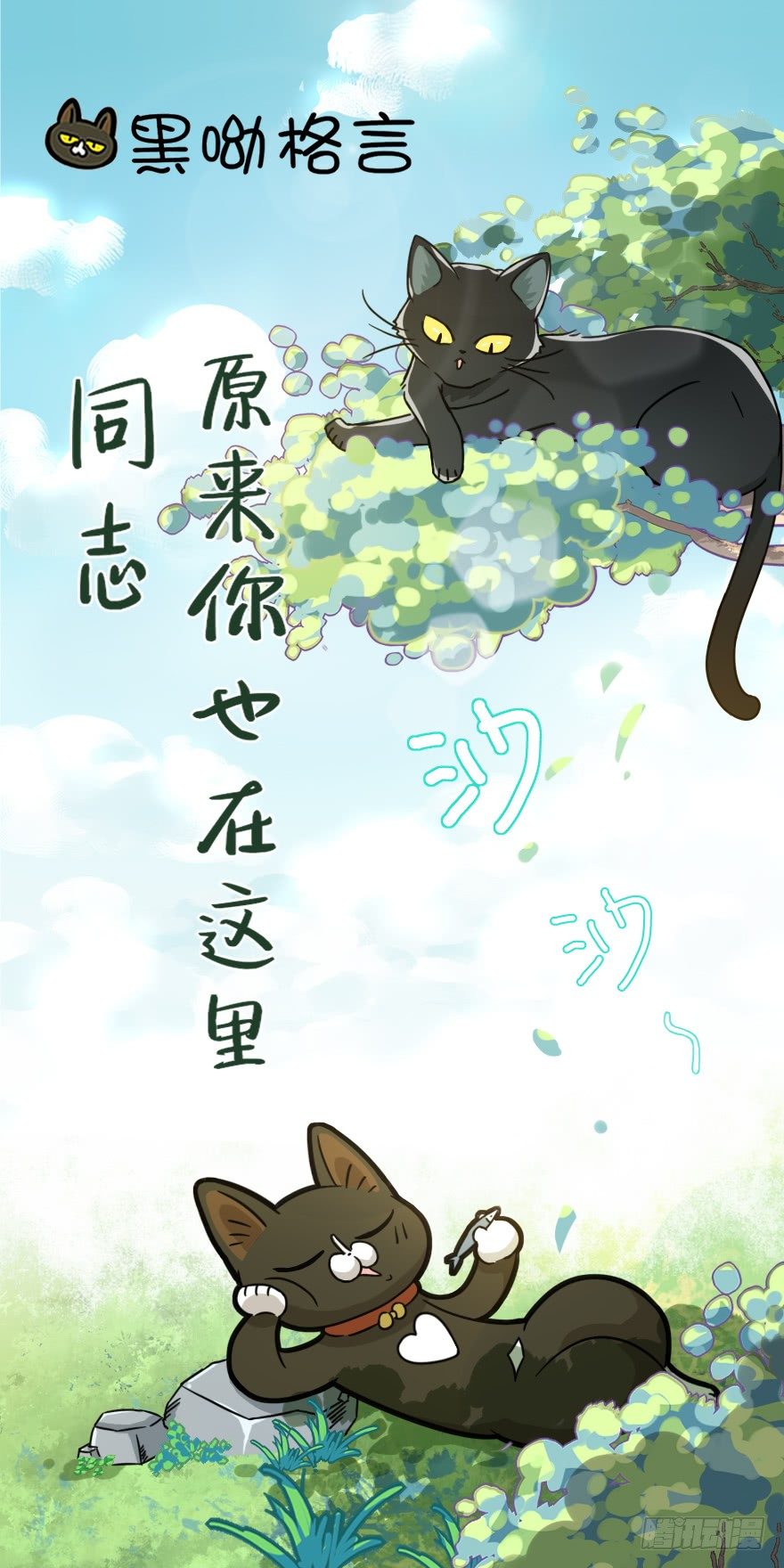 第12爪 番外 神秘的蛋嘴猫-第12话