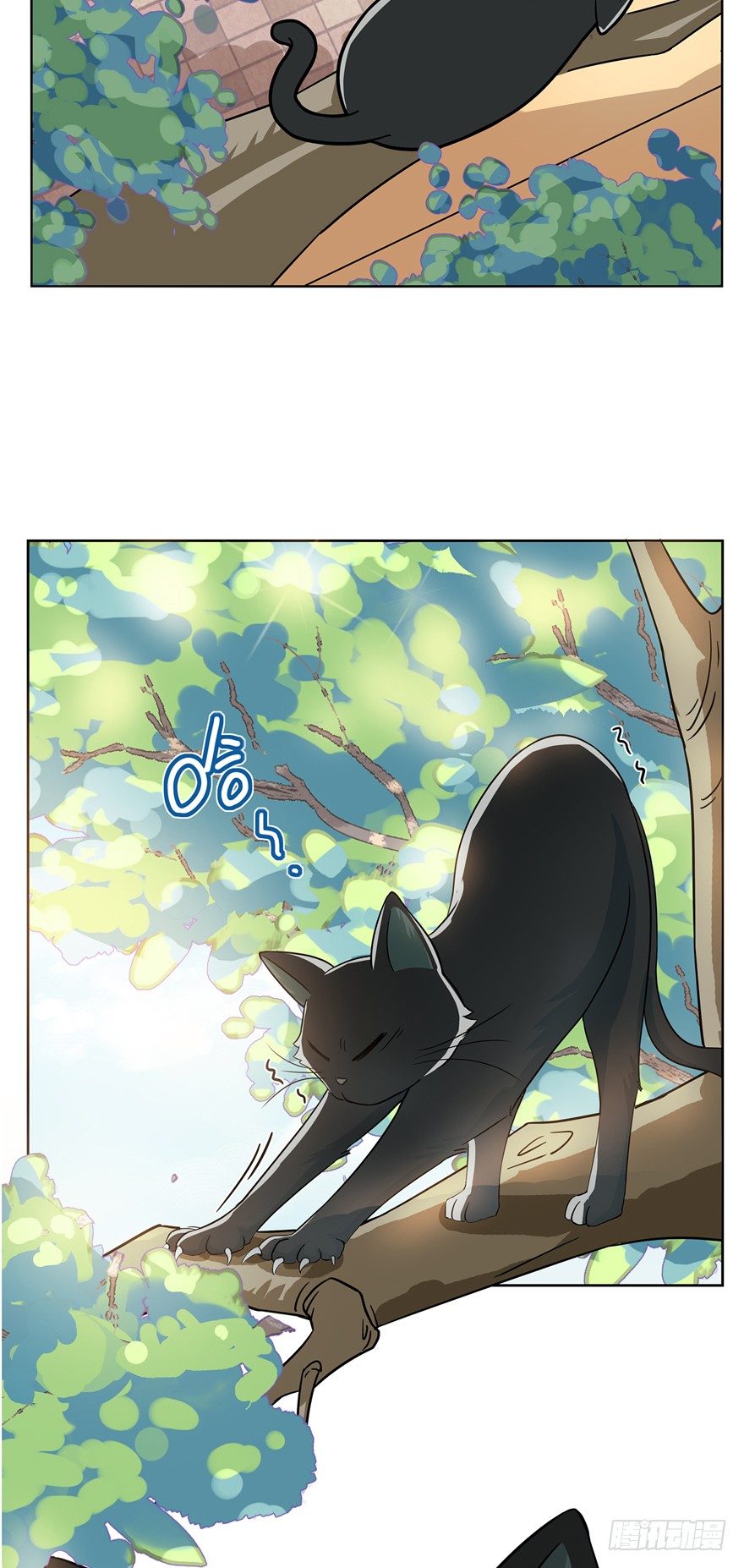 第12爪 番外 神秘的蛋嘴猫-第12话