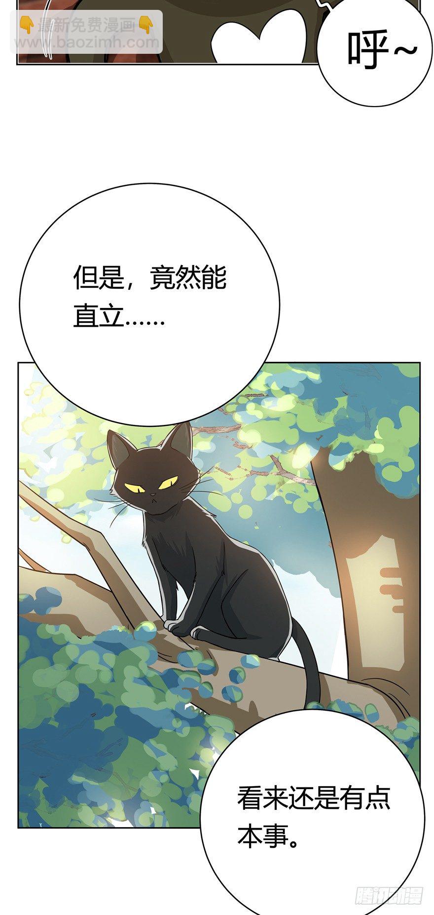 第12爪 番外 神秘的蛋嘴猫-第12话