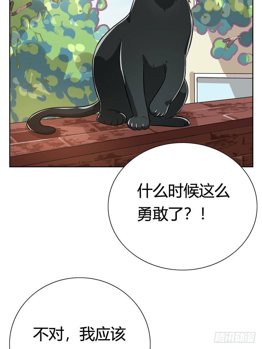 第110爪 一力承担（上）-第116话