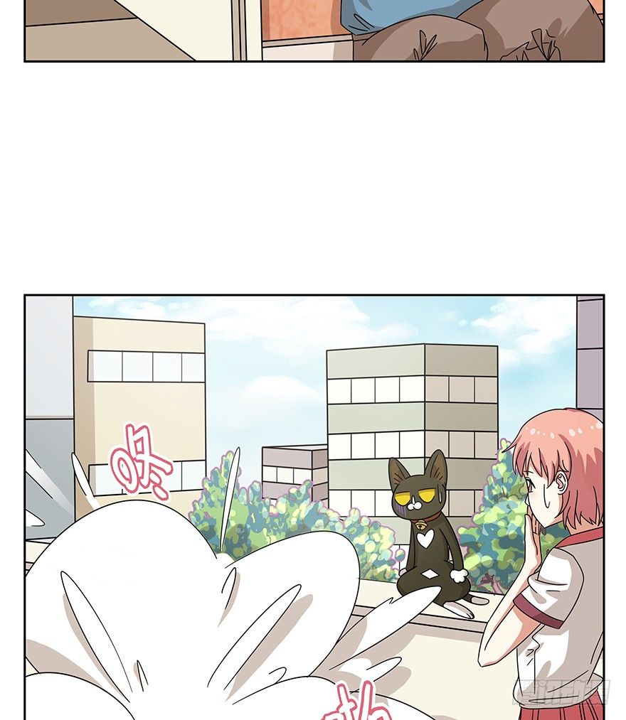 第118爪 杀回大本营（上）-第124话