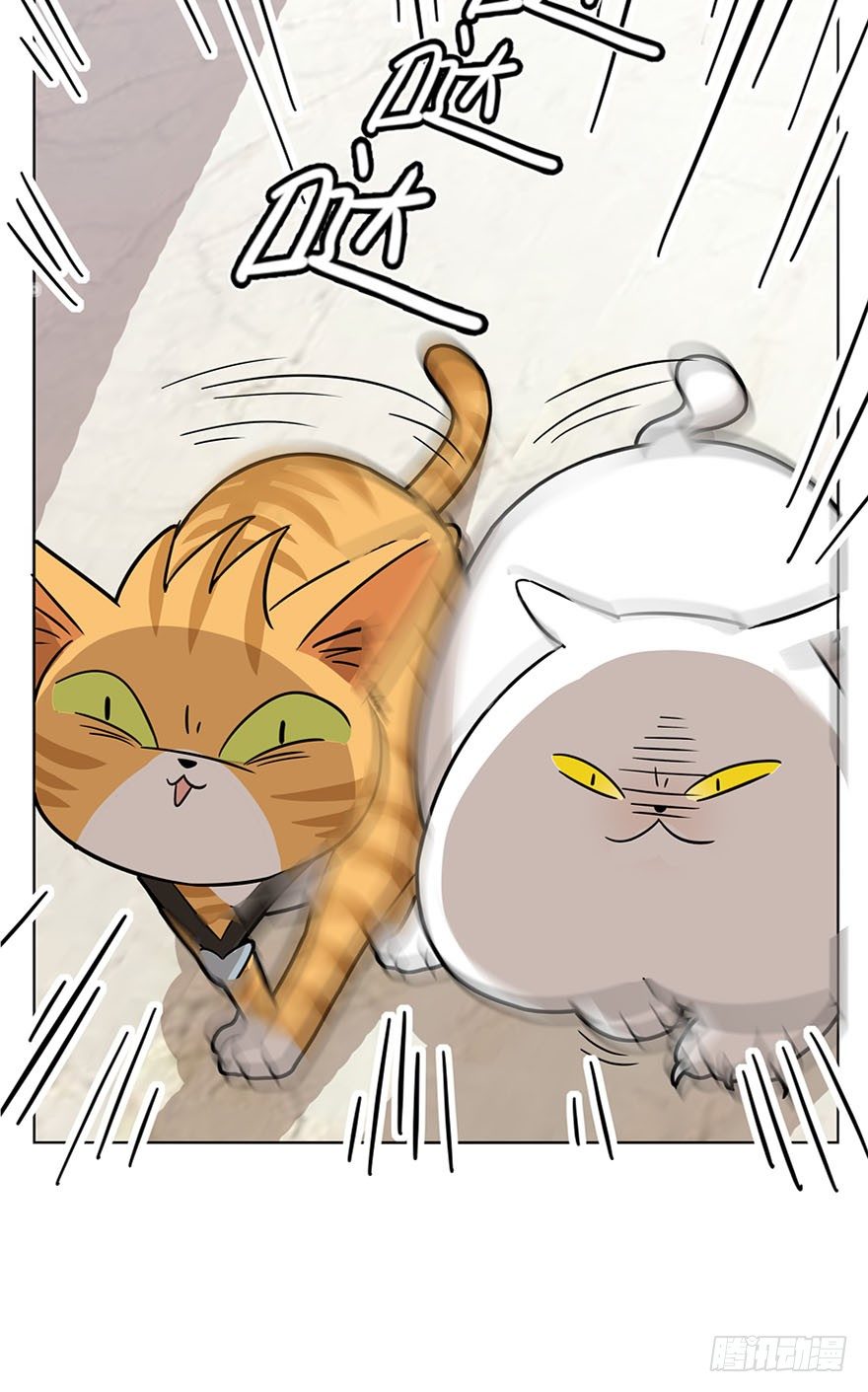 第14爪 服不服！-第14话