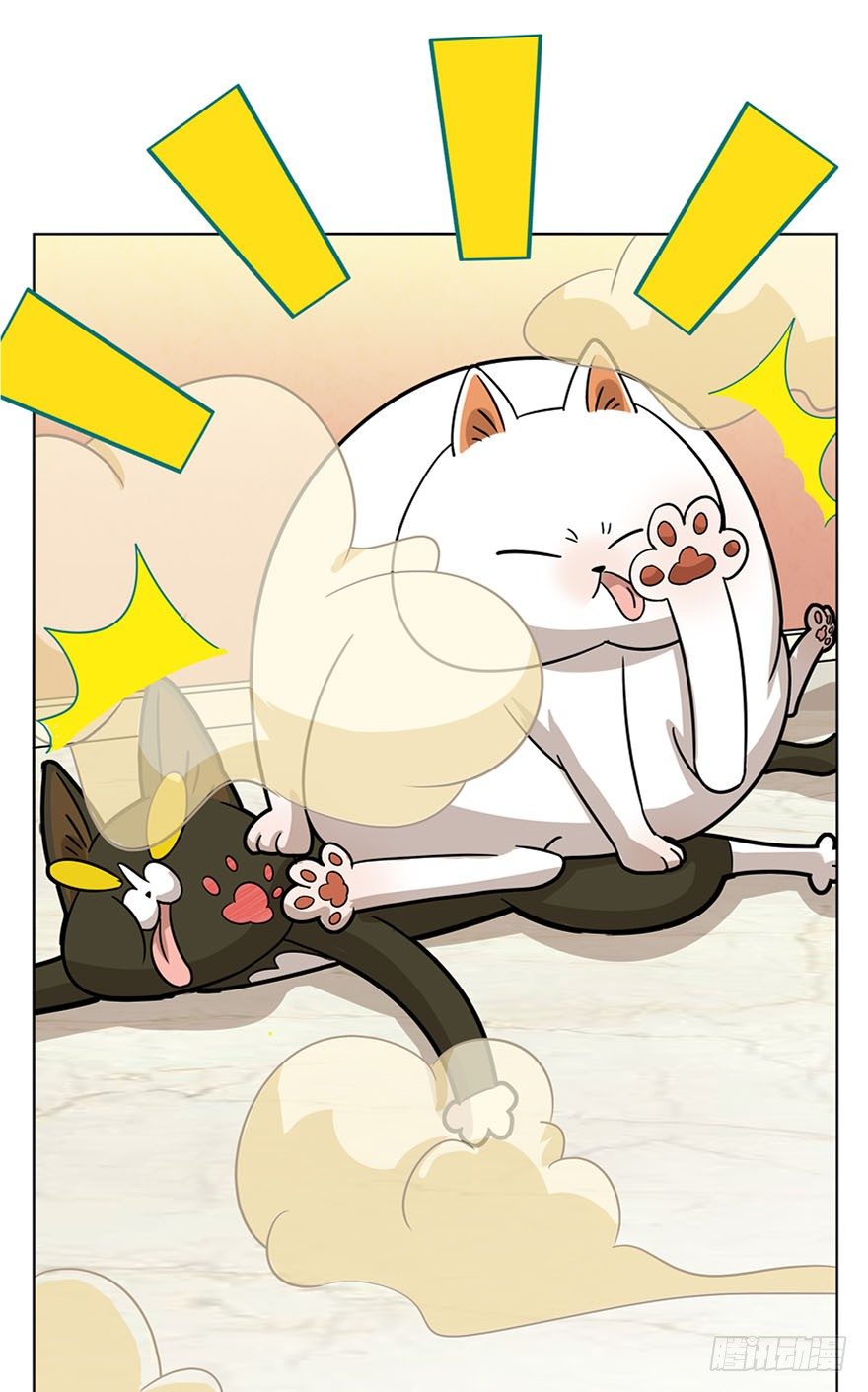 第14爪 服不服！-第14话