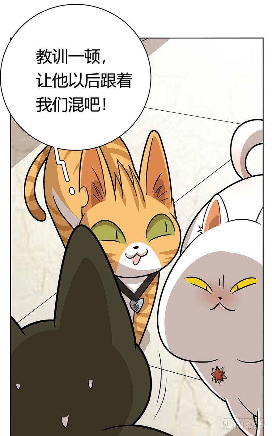 回到过去变成猫外传 - 第14爪 服不服！ - 6