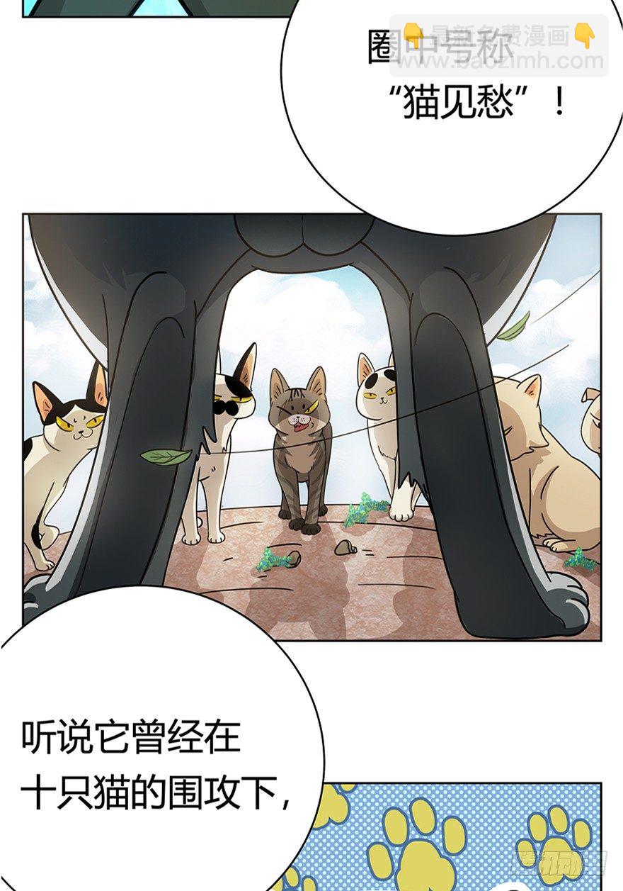 第18爪 猫生赢家（下）-第18话