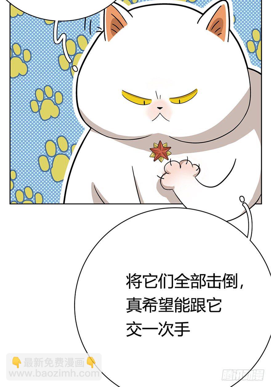 第18爪 猫生赢家（下）-第18话