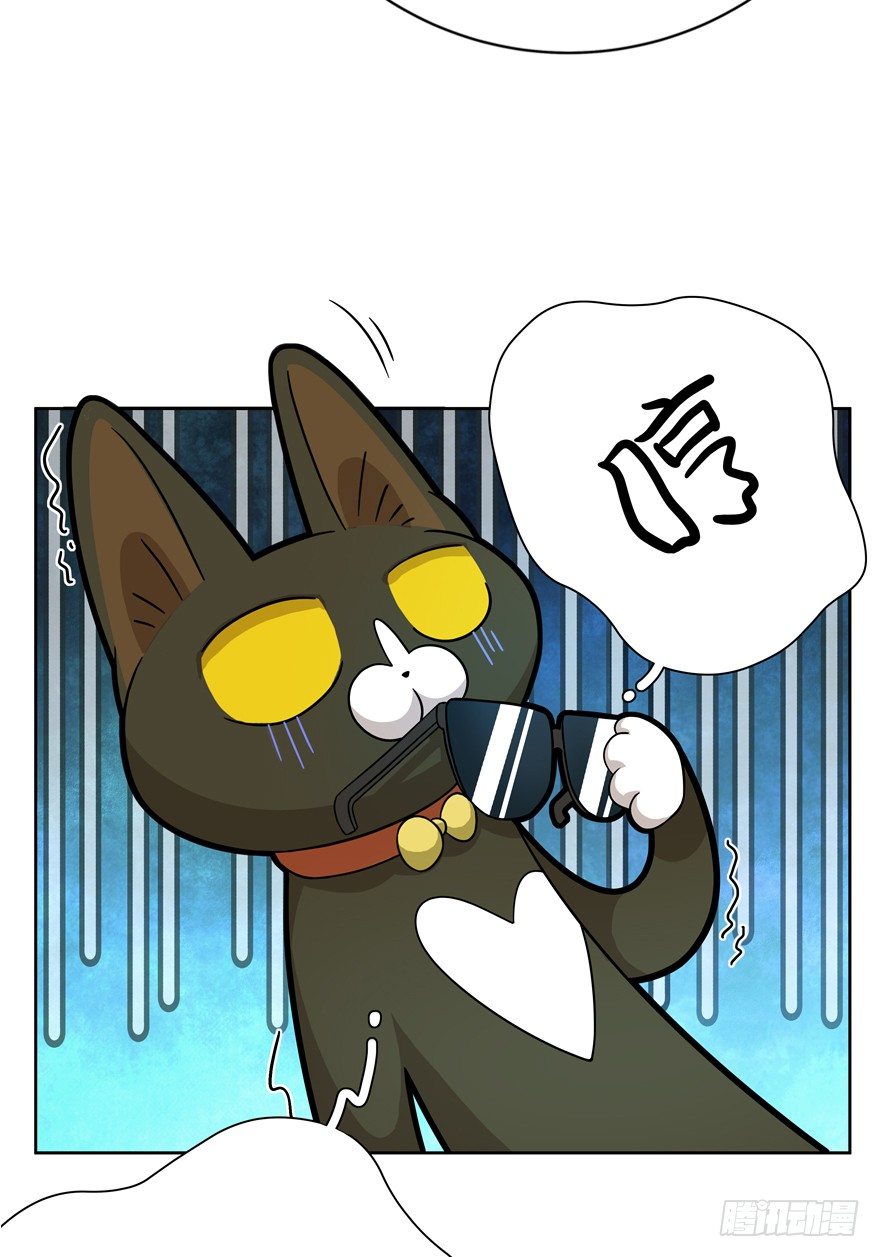 第18爪 猫生赢家（下）-第18话