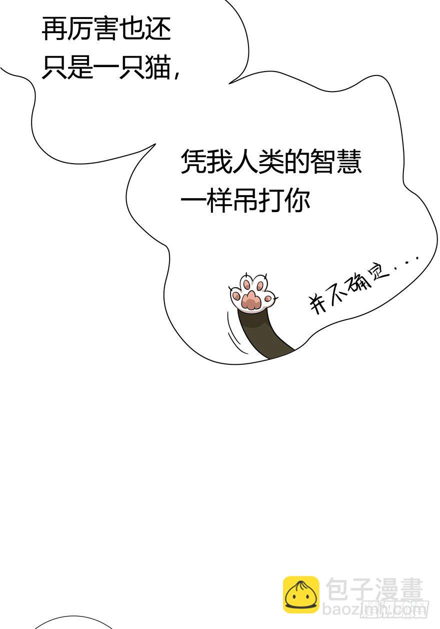 第18爪 猫生赢家（下）-第18话