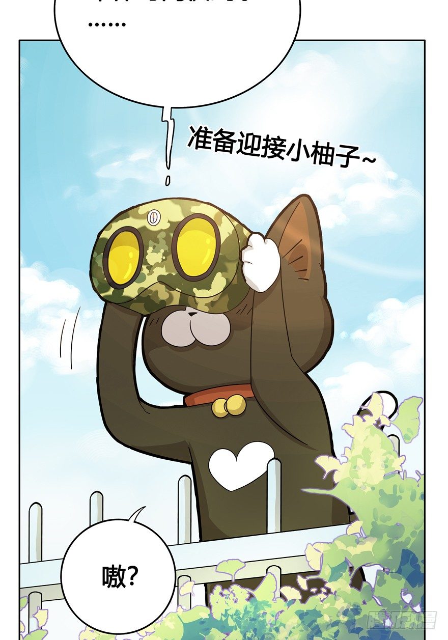 第18爪 猫生赢家（下）-第18话