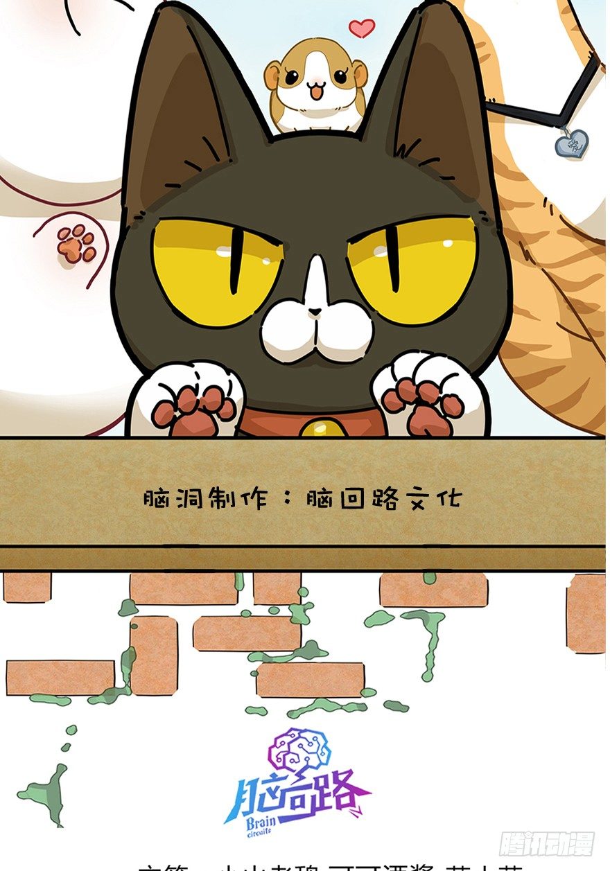 第18爪 猫生赢家（下）-第18话