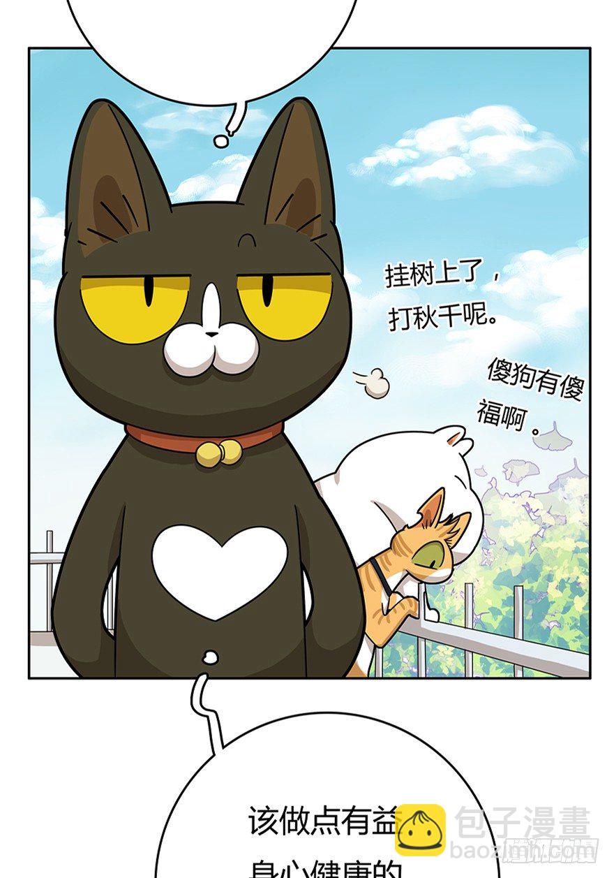 第18爪 猫生赢家（下）-第18话
