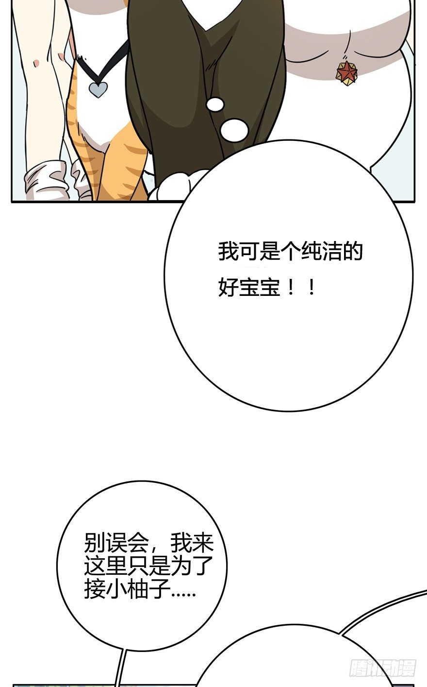 第20爪 夏天真好（上）-第20话