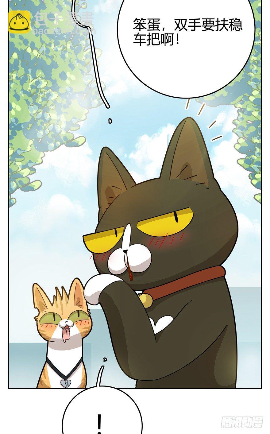 第20爪 夏天真好（上）-第20话