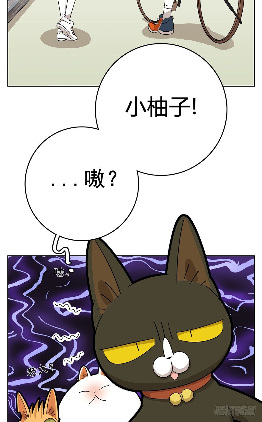 第20爪 夏天真好（上）-第20话