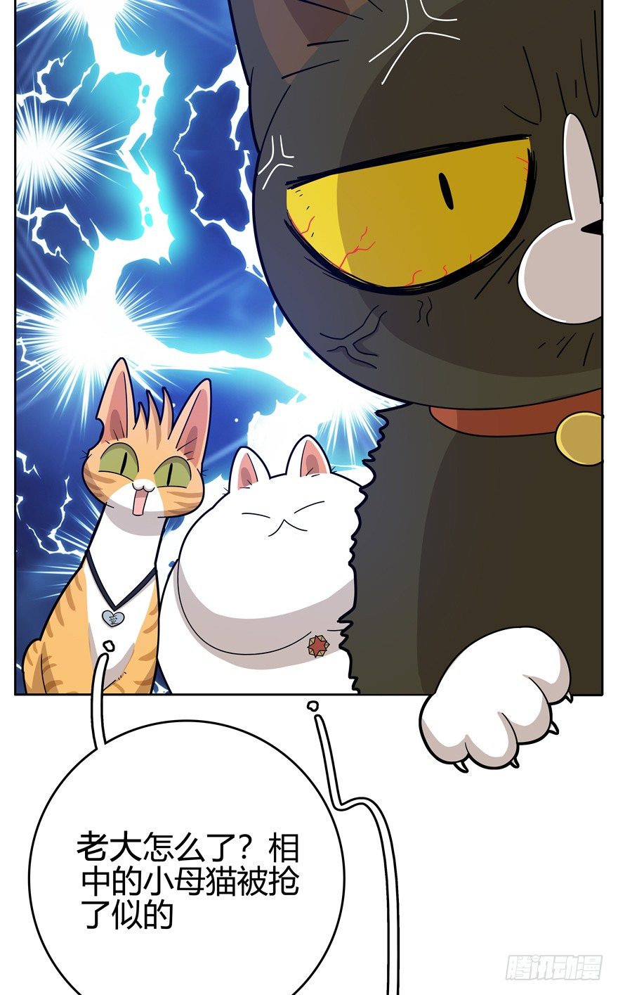 第20爪 夏天真好（上）-第20话