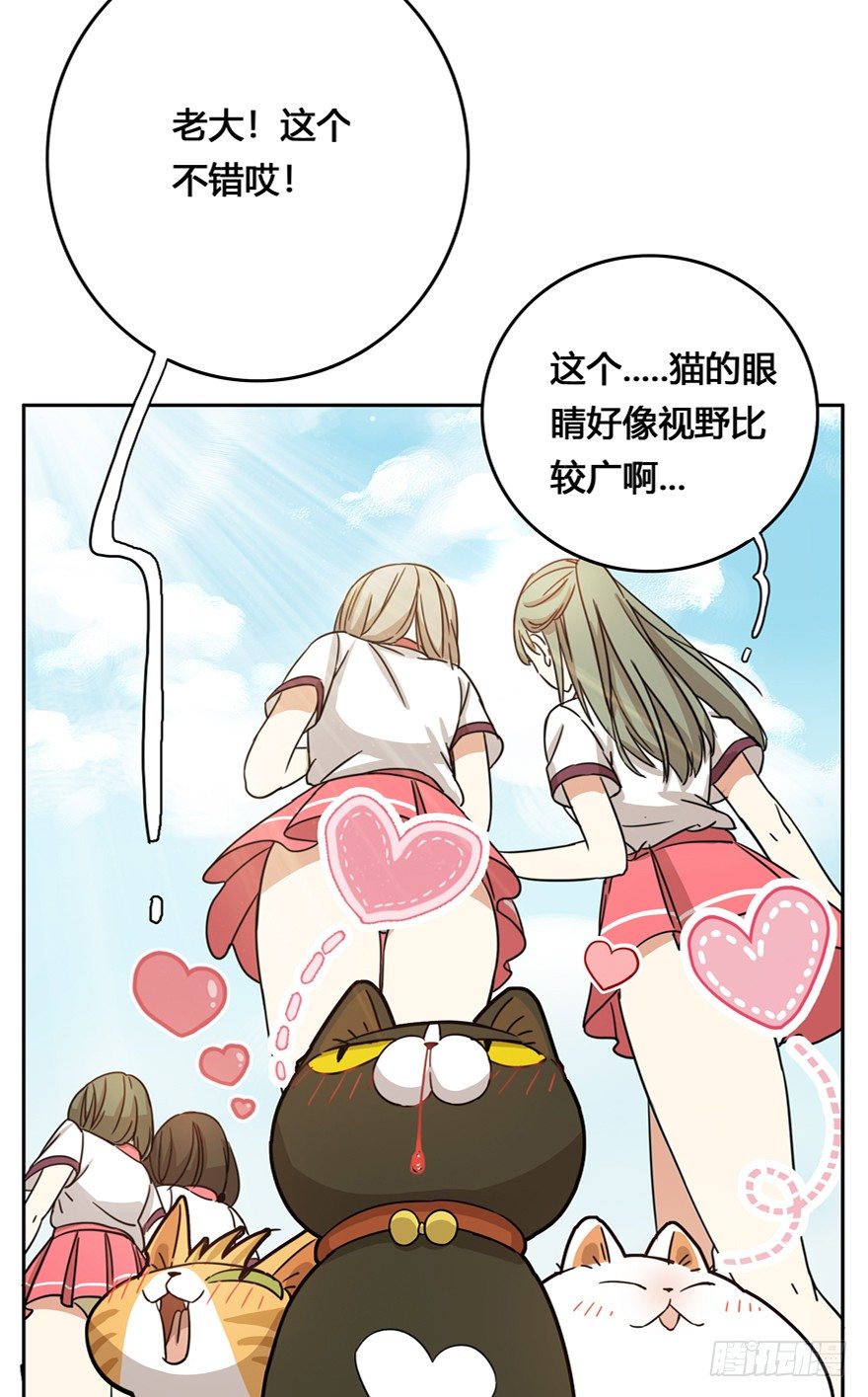 第20爪 夏天真好（上）-第20话