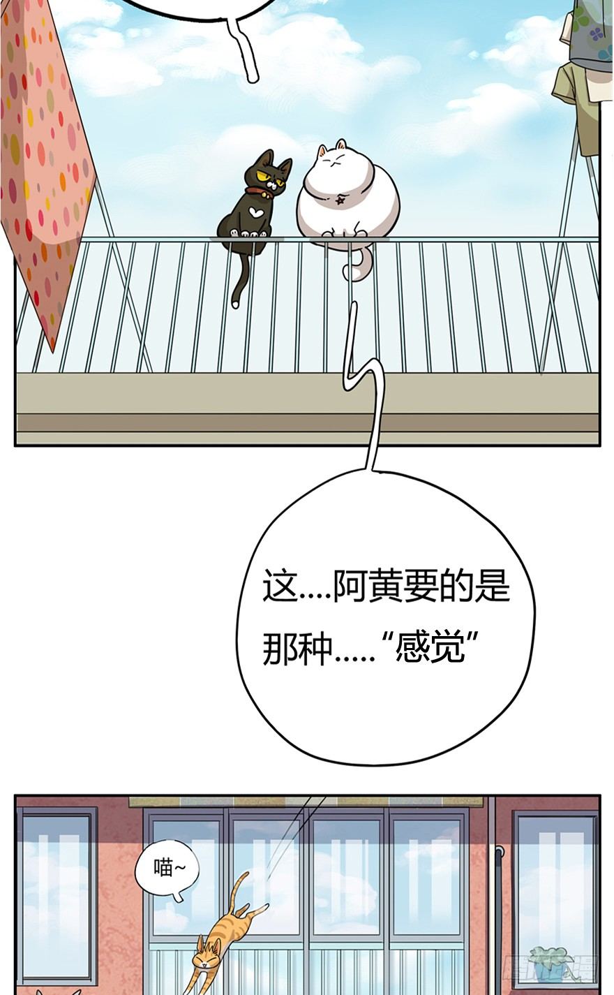 第24爪 &ldquo;美好&rdquo;的季节-第24话