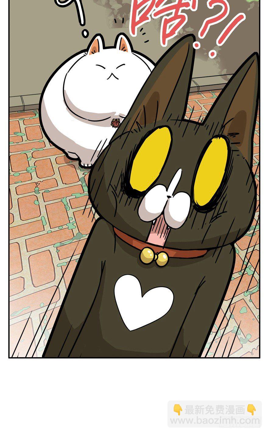 第24爪 &ldquo;美好&rdquo;的季节-第24话