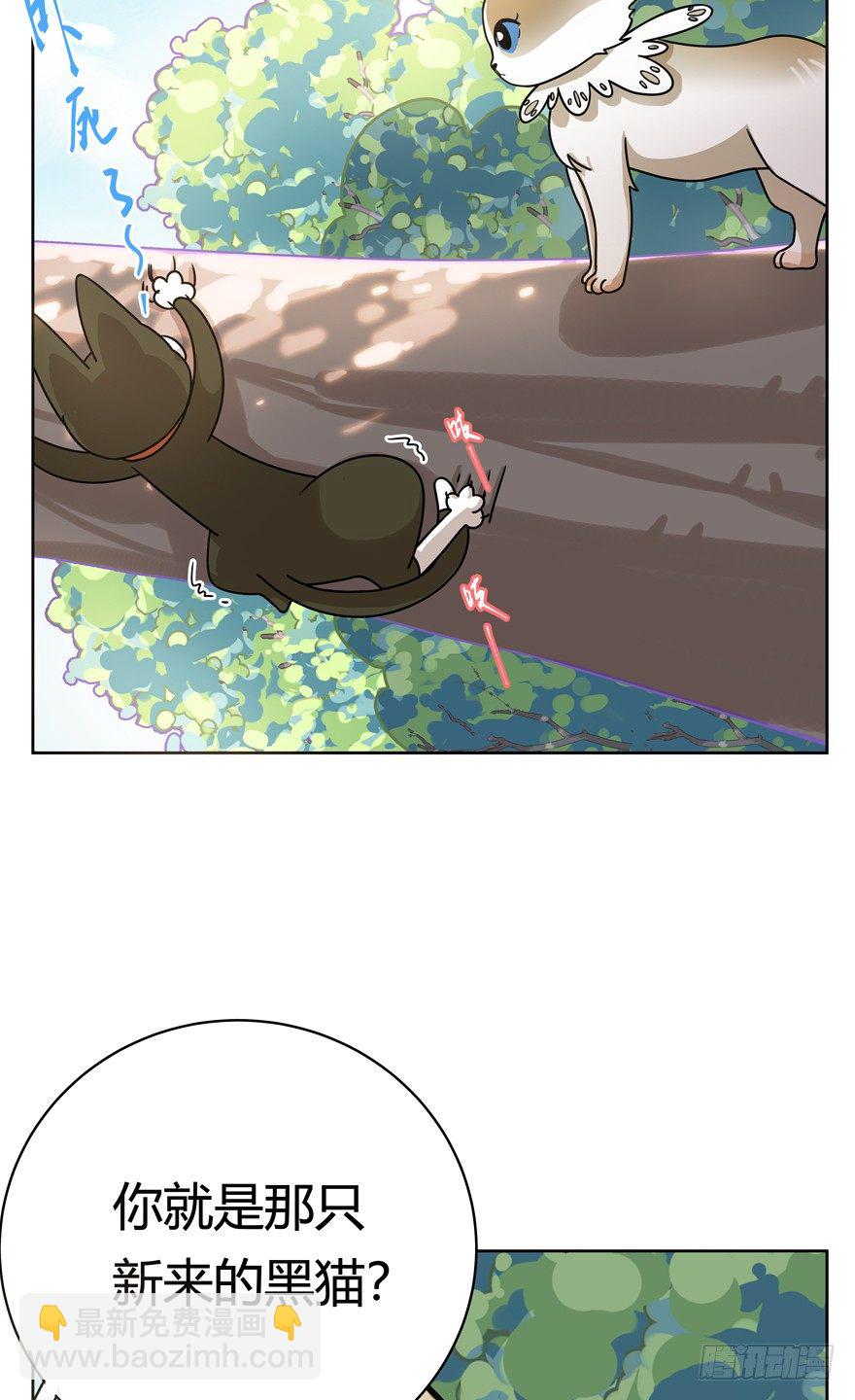 第26爪 女王大人（下）-第26话