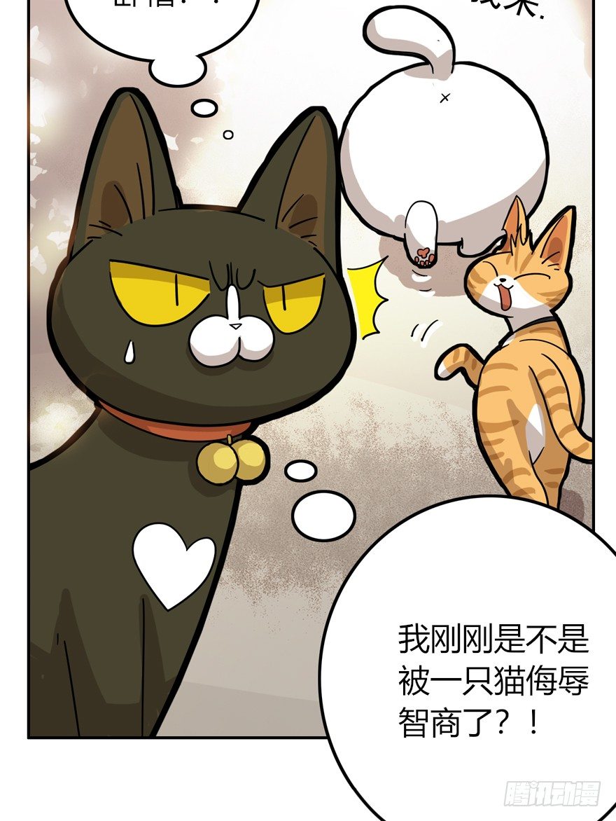 回到过去变成猫外传 - 第28爪 猫圈鄙视链（上） - 2