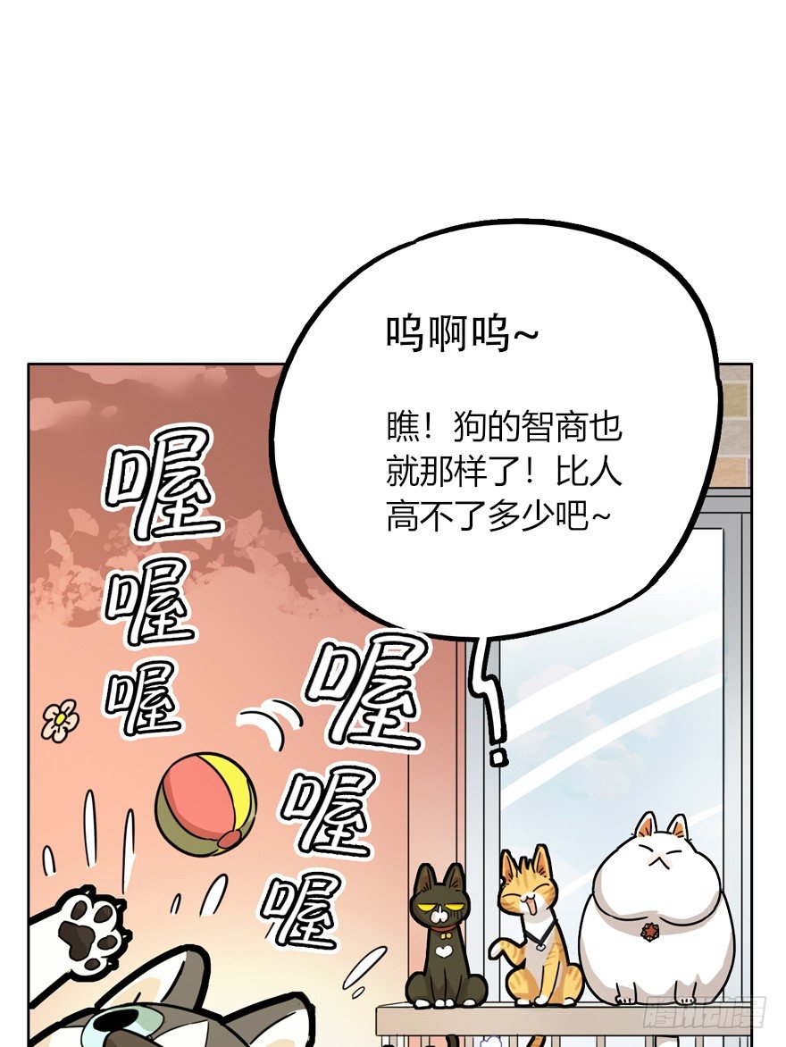 回到过去变成猫外传 - 第28爪 猫圈鄙视链（上） - 3