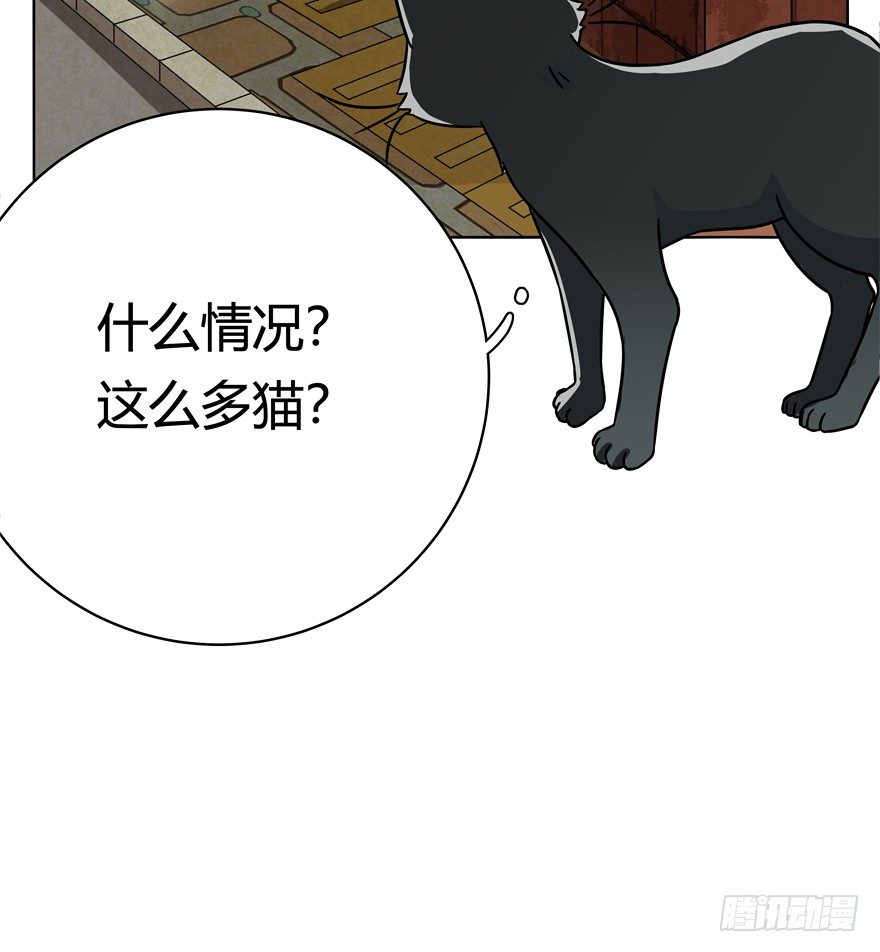 第30爪 番外 黑炭称王-第30话