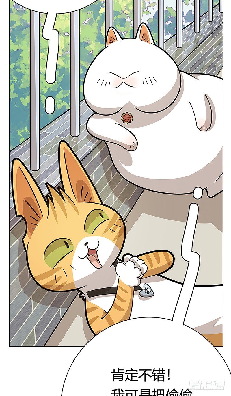 第38爪 坑你没商量-第38话