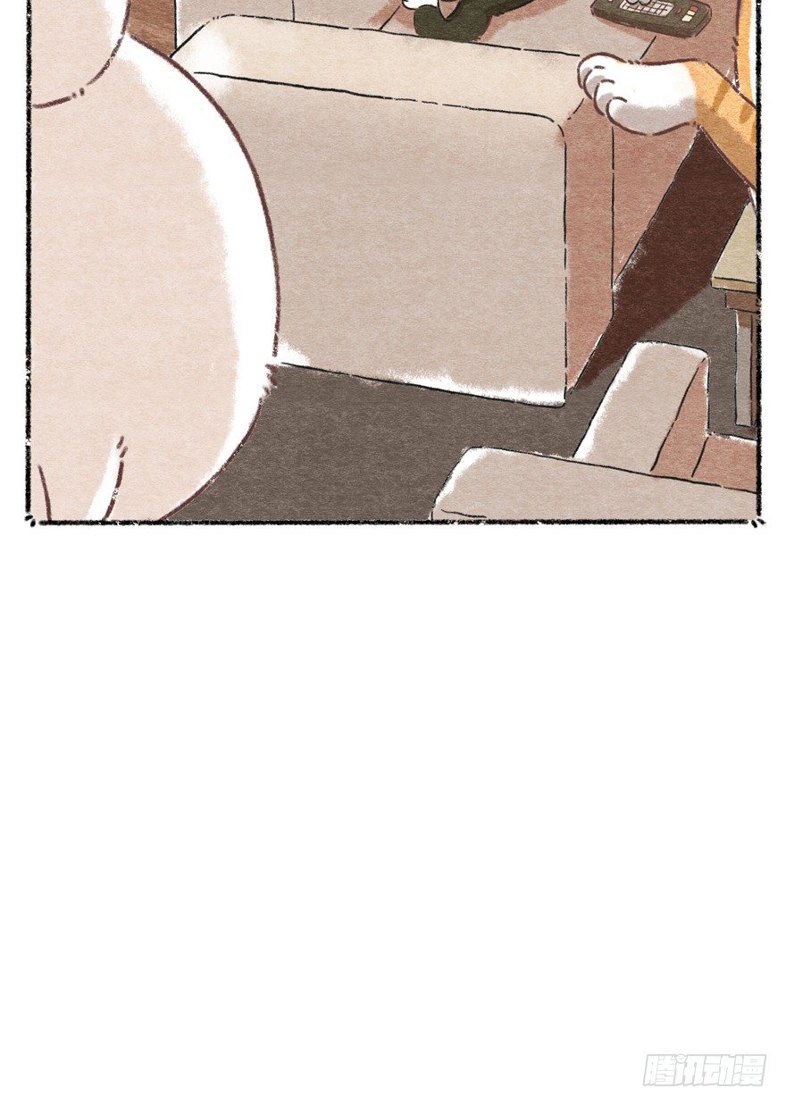 新年番外一  为啥没有猫年-第42话