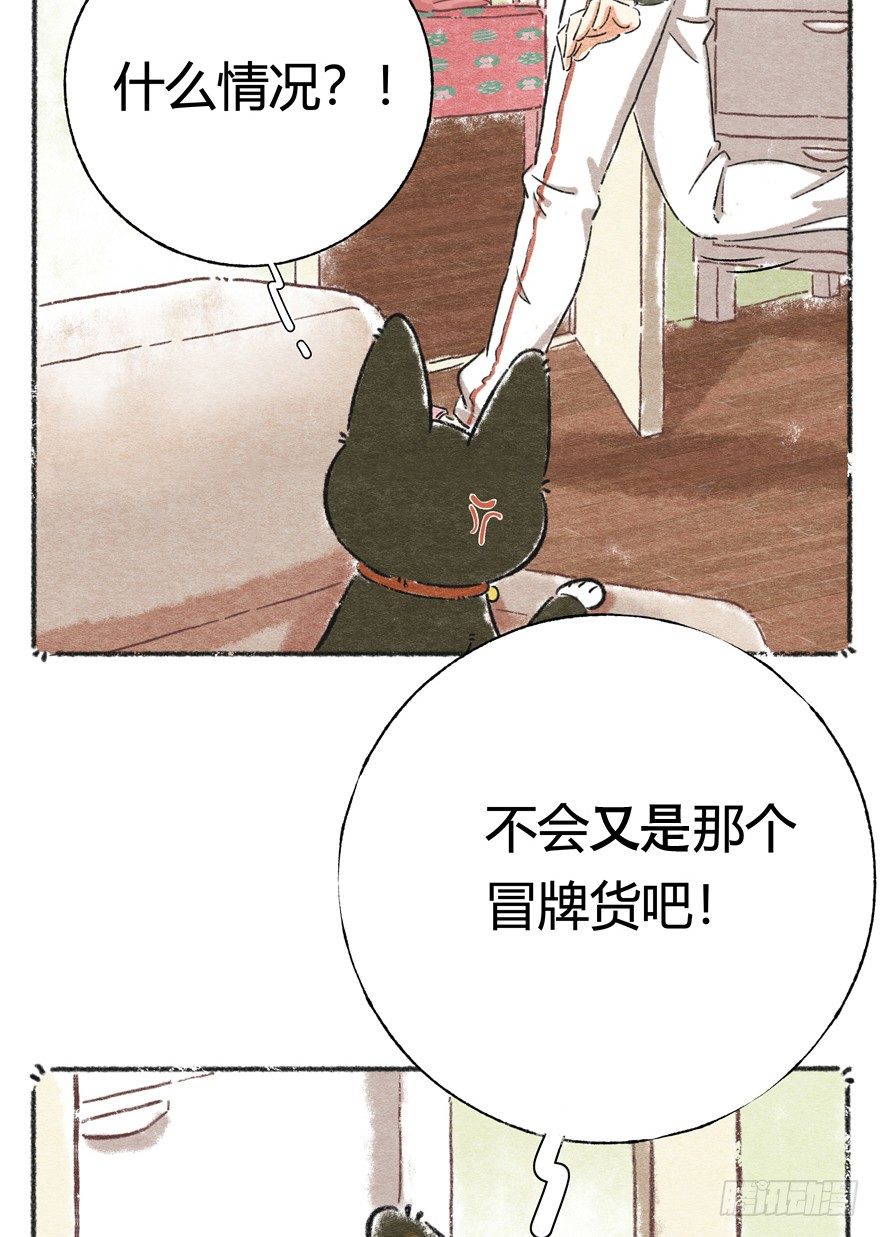 新年番外一  为啥没有猫年-第42话