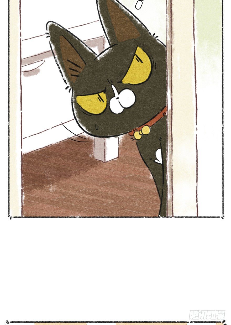 新年番外一  为啥没有猫年-第42话