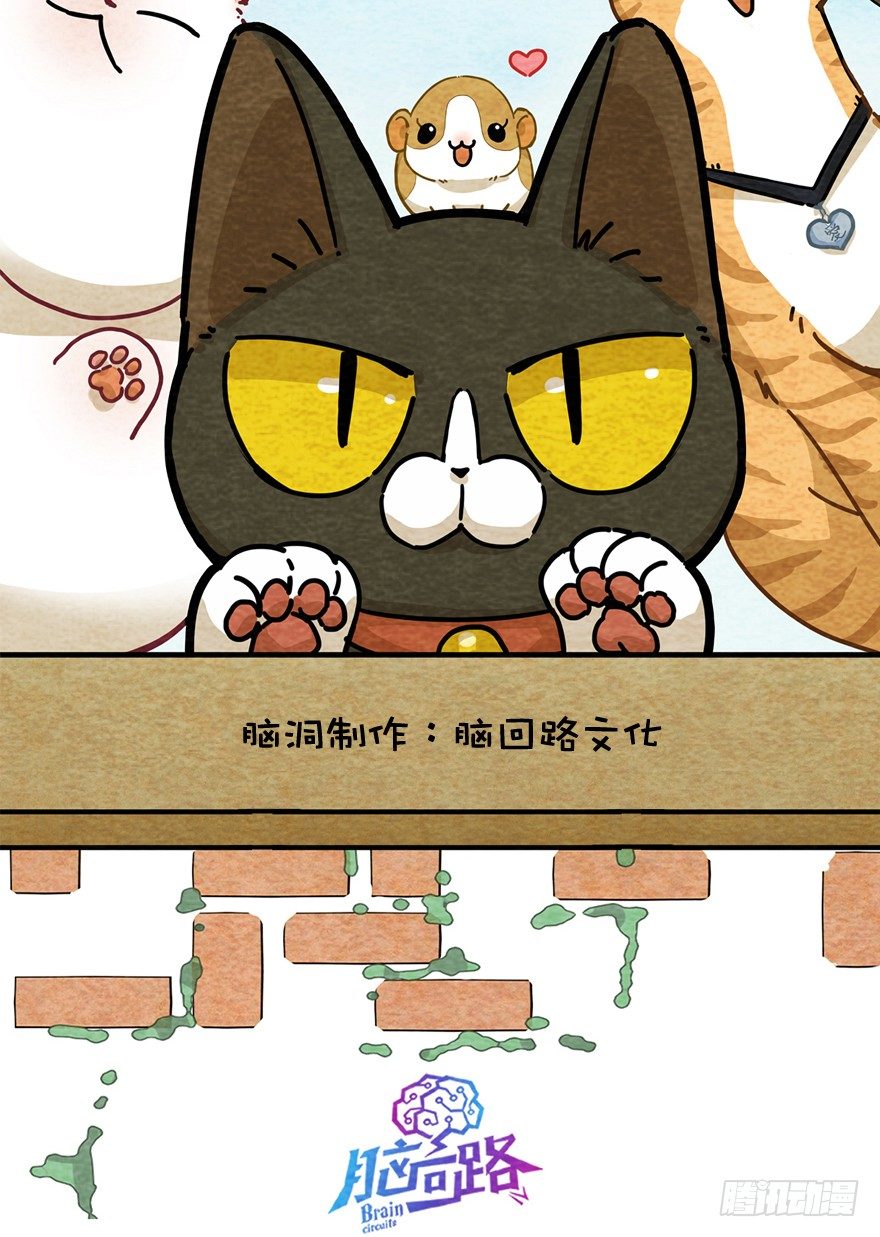 新年番外一  为啥没有猫年-第42话