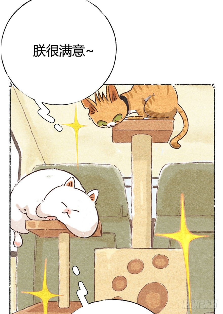 新年番外一  为啥没有猫年-第42话