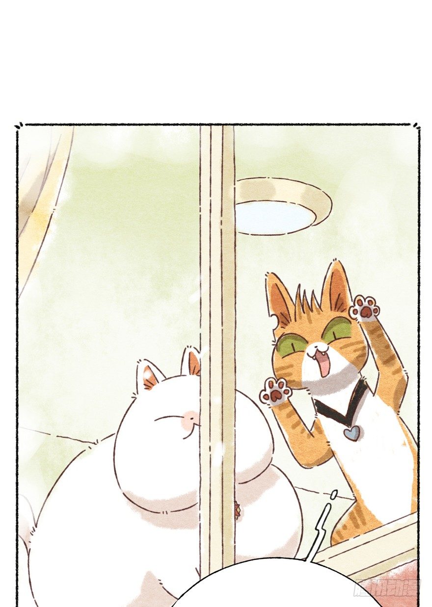 新年番外一  为啥没有猫年-第42话