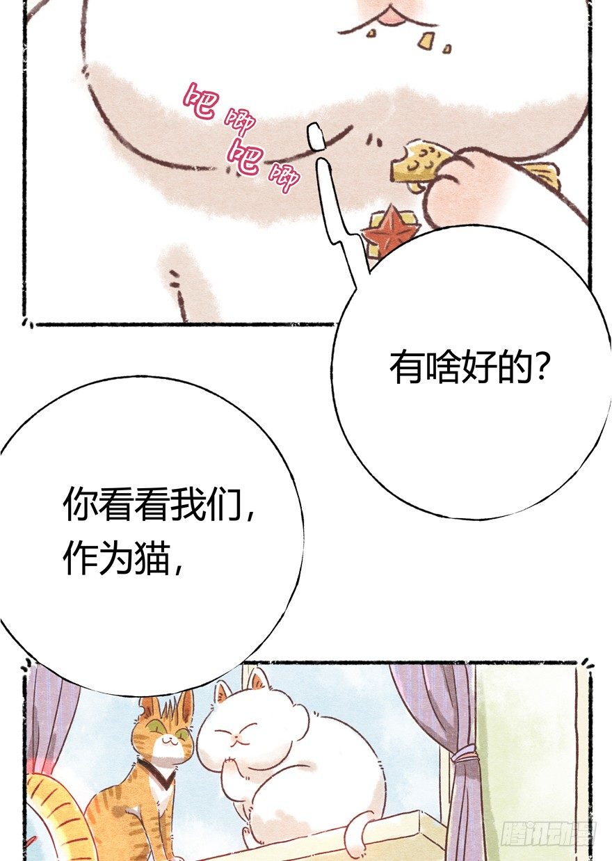 新年番外一  为啥没有猫年-第42话