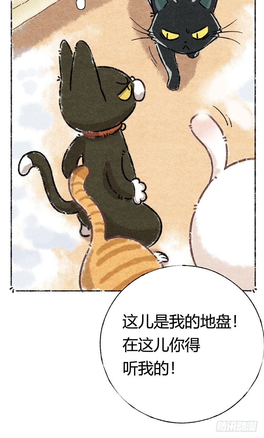 新年番外三 不一样的春节-第44话