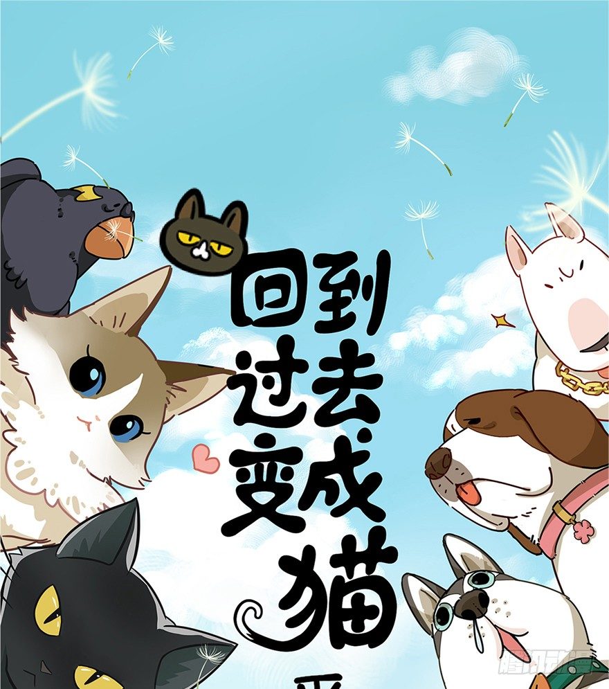 回到过去变成猫外传 - 第42爪 想不到的结局（上） - 1