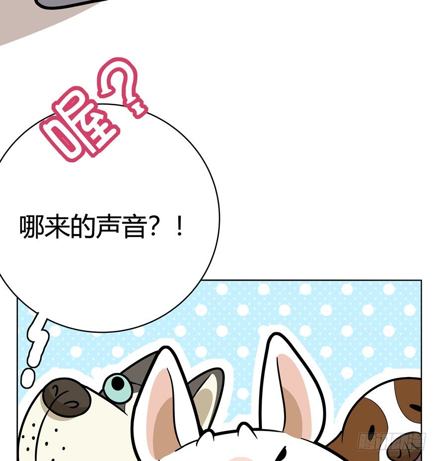 第44爪 夜幕下的阴谋（上）-第50话