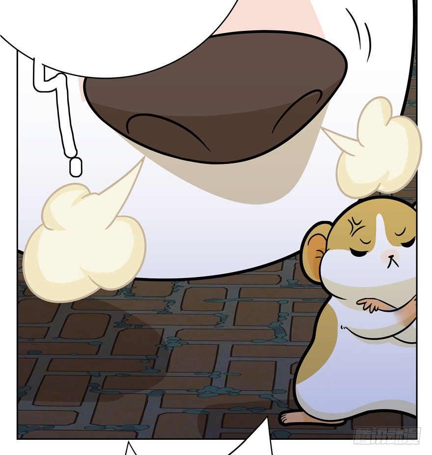 第44爪 夜幕下的阴谋（上）-第50话