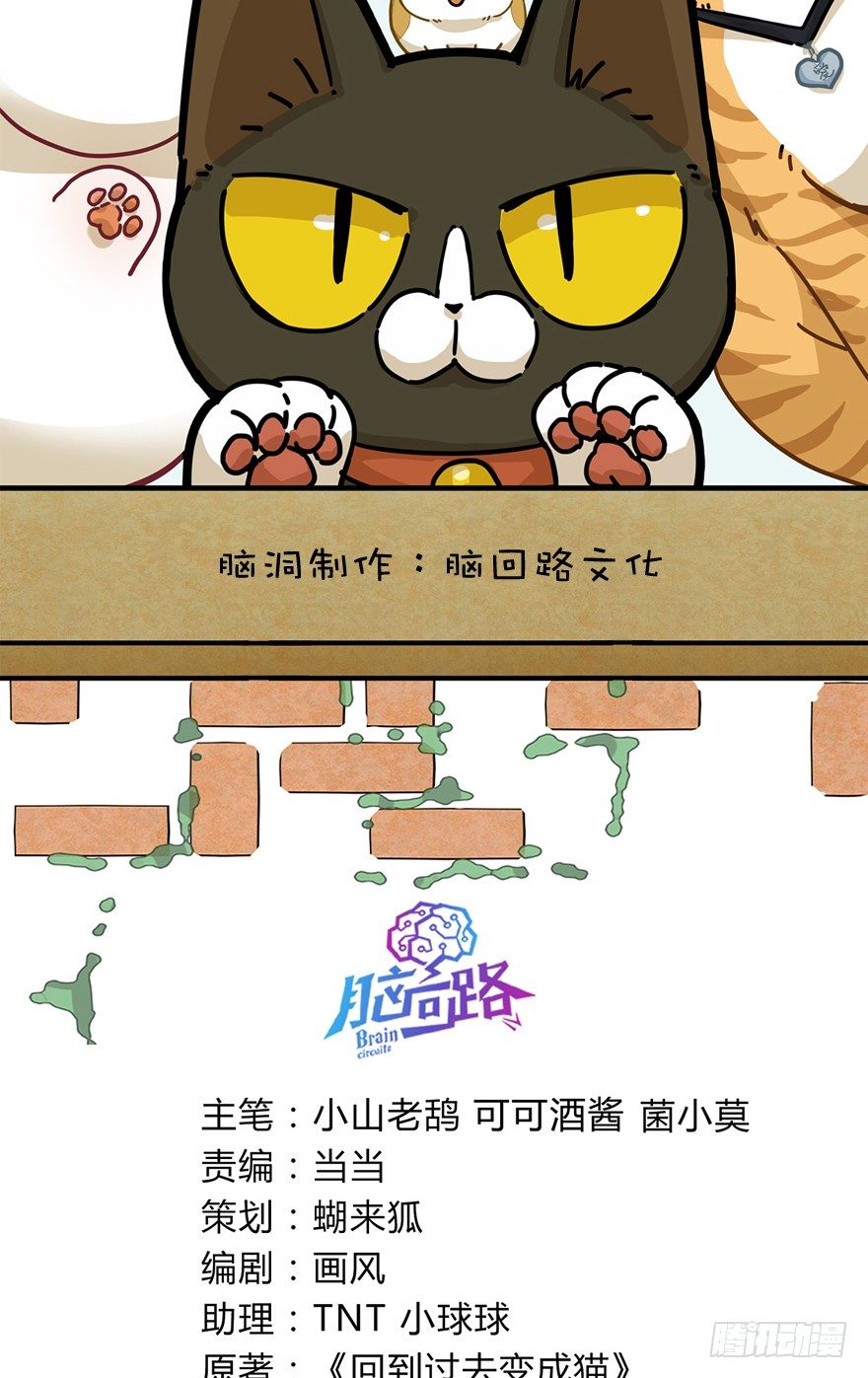 第48爪 强力外援（下）-第54话