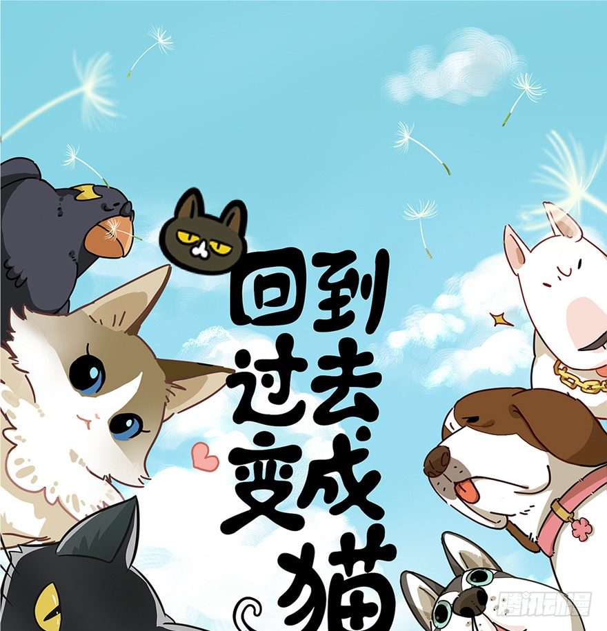 第50爪 送礼（上）-第56话