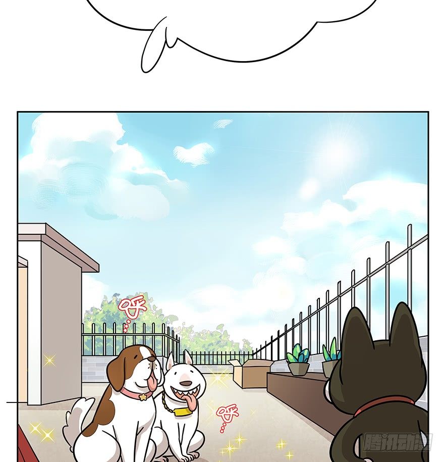 第50爪 送礼（上）-第56话