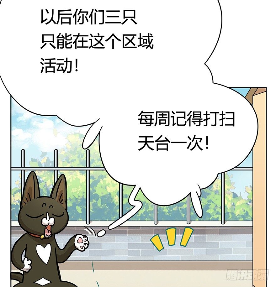 回到过去变成猫外传 - 第50爪 送礼（上） - 1