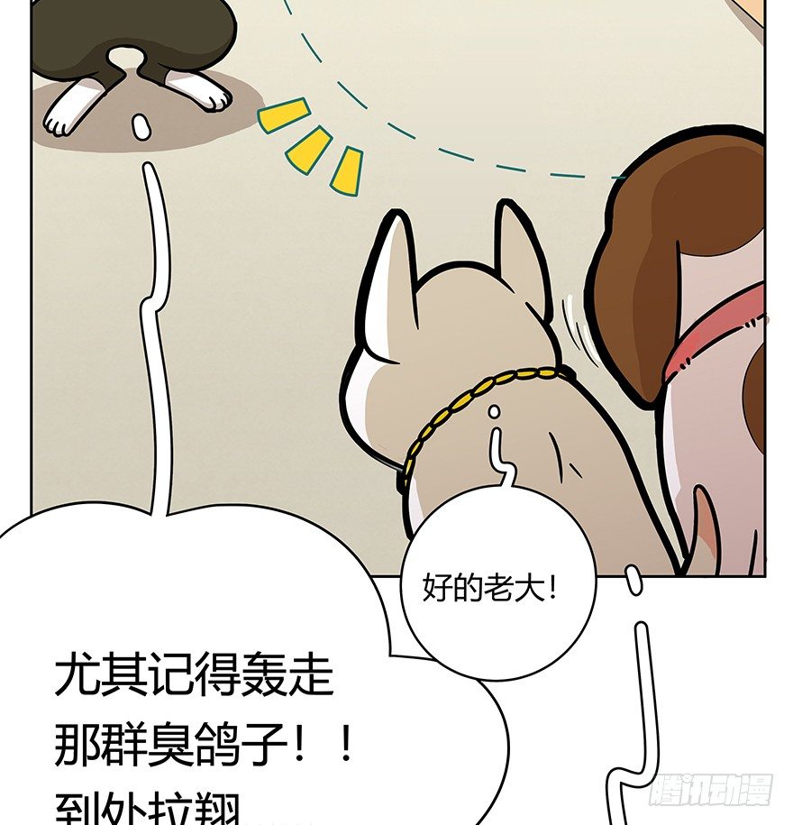 第50爪 送礼（上）-第56话