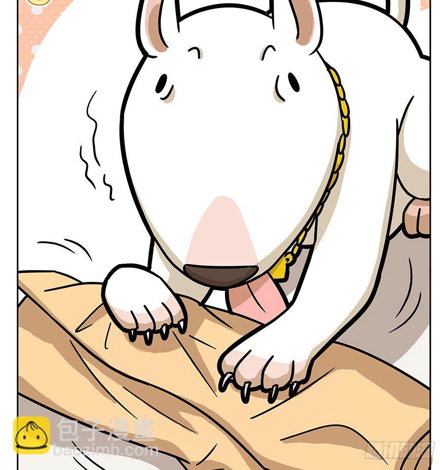 第50爪 送礼（上）-第56话