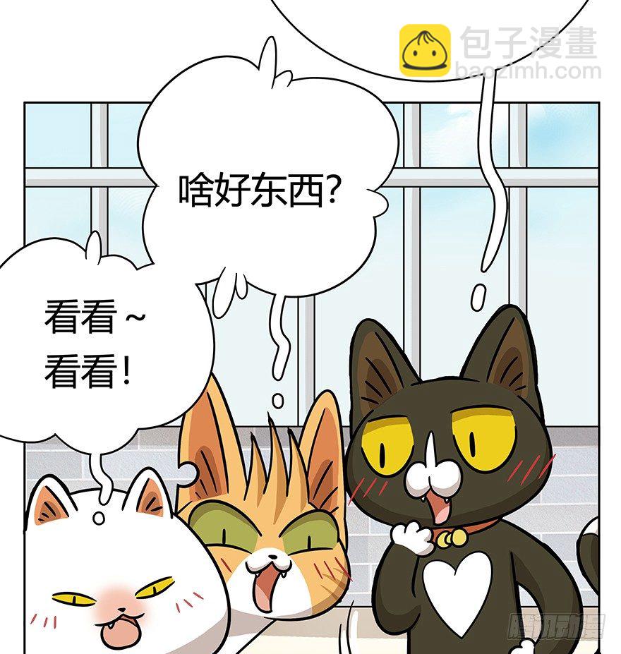 回到过去变成猫外传 - 第50爪 送礼（上） - 3