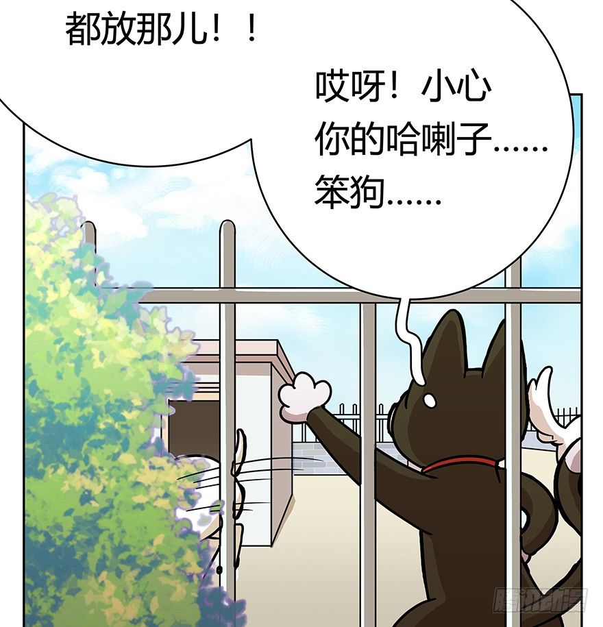 第50爪 送礼（上）-第56话